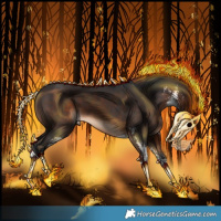 Horse Color:Brown Sabino 