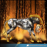 Horse Color:White Spotted Brown Tobiano 