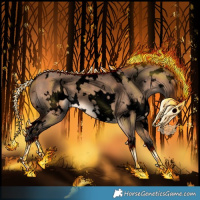 Horse Color:Void White Spotted Brown Dun 