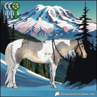 Horse Color:Silver Buckskin Tobiano Appaloosa Rabicano