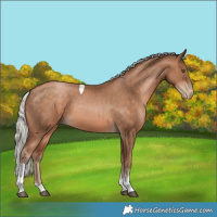 Horse Color:Silver Brown Pearl Tobiano 