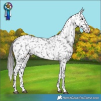 Horse Color:Black Snowflake Varnish