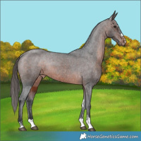 Horse Color:Brown Varnish Rabicano 