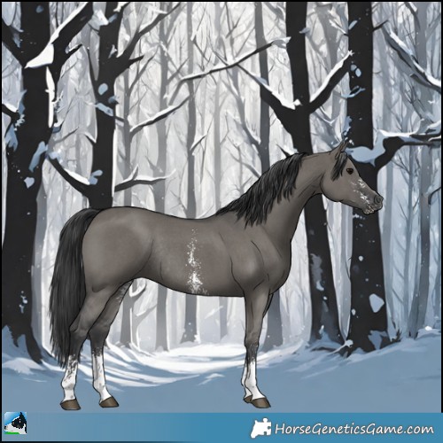 Horse Color:Grullo Sabino Rabicano