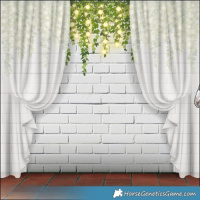 Horse Color:Smoky Black Tobiano Frame Appaloosa 