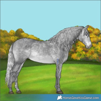 Horse Color:Silver Brown Chinchilla Ice
