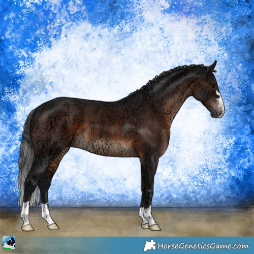 Horse Color:Brown Ice 