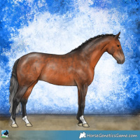 Horse Color:Brown Rabicano