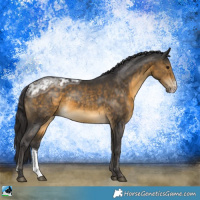 Horse Color:Buckskin Ice Sabino 
