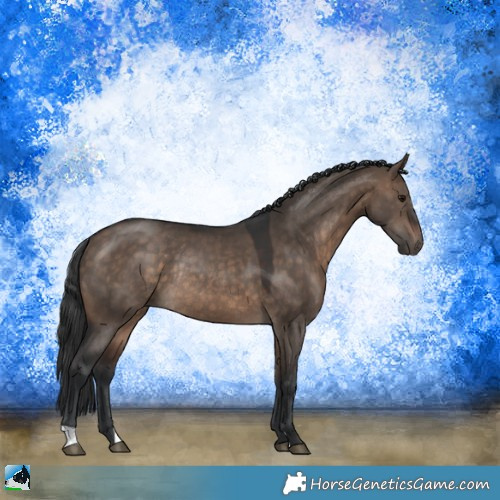 Horse Color:Brown Dun Rabicano