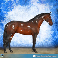 Horse Color:White Spotted Brown