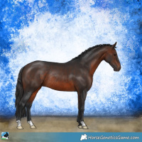 Horse Color:Brown Rabicano 