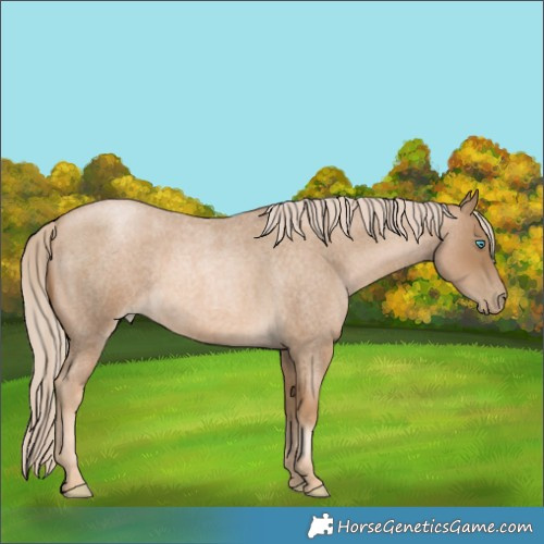Horse Color:Chocolate Palomino Roan Pearl 