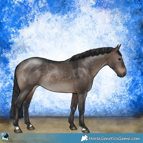 Horse Color:Brown Dun Mushroom Rabicano