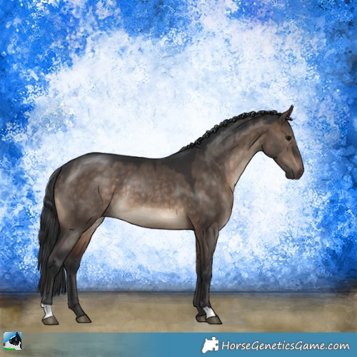 Horse Color:Brown Dun Rabicano 