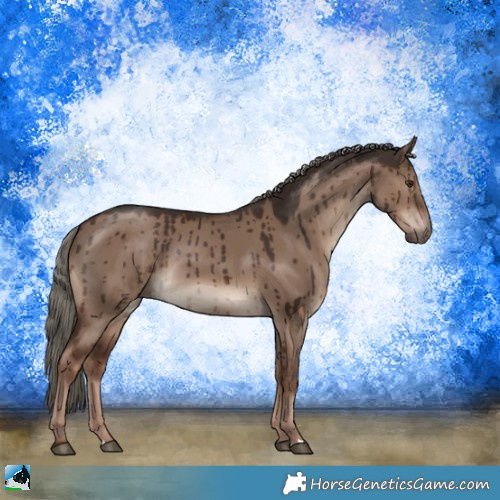 Horse Color:Liver Red Dun Mushroom Rabicano Brindle 