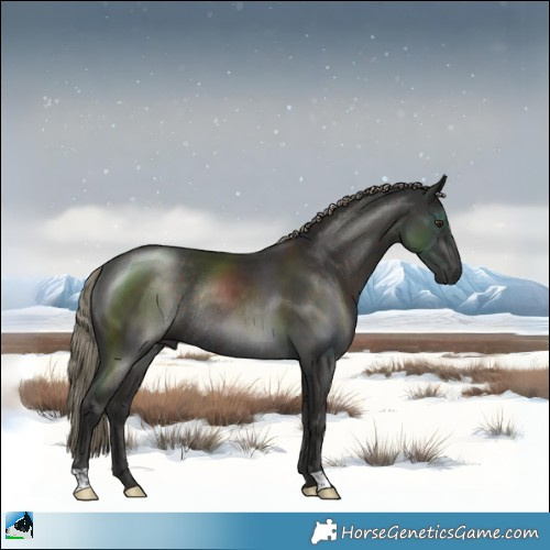 Horse Color:Liver Chestnut Mushroom Rabicano 