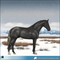 Horse Color:Liver Chestnut Mushroom Rabicano 