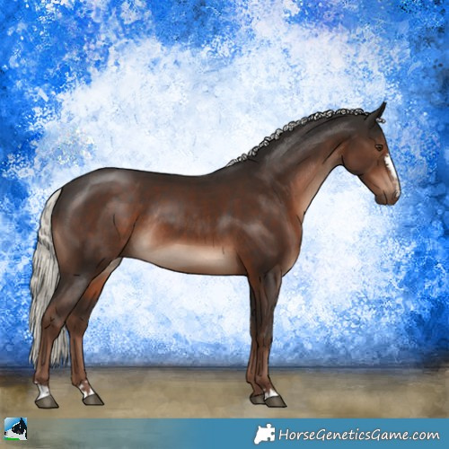 Horse Color:Liver Chestnut Mushroom Rabicano 