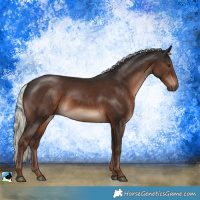 Horse Color:Liver Chestnut Mushroom Rabicano 