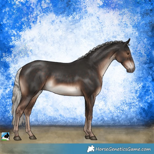 Horse Color:Liver Chestnut Mushroom Rabicano 