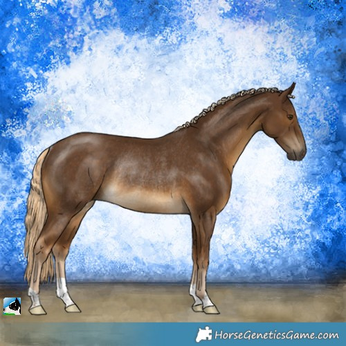 Horse Color:Chocolate Palomino Rabicano 