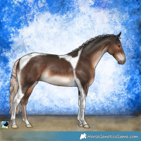 Horse Color:Liver Chestnut Mushroom Tobiano Rabicano