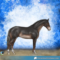 Horse Color:Liver Chestnut Mushroom Sabino Rabicano