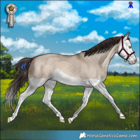 Horse Color:Sable Champagne Dun Splash 