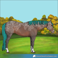 Horse Color:Painted Liver Chestnut Ice Tobiano 