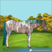 Horse Color:Painted Liver Chestnut Ice Tobiano 