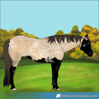 Horse Color:Void Buckskin Ice Dun Splash 
