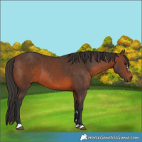 Horse Color:Brown 
