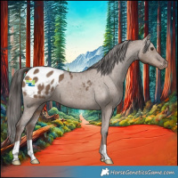 Horse Color:Liver Red Dun Appaloosa 