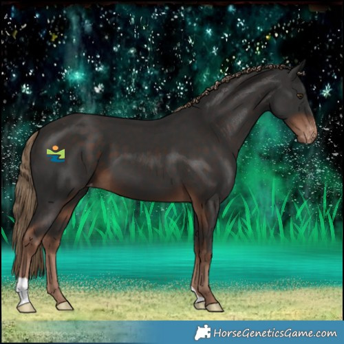 Horse Color:Liver Chestnut Varnish 