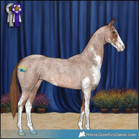 Horse Color:Red Roan Sabino 