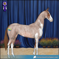 Horse Color:Red Roan Sabino 