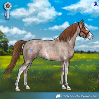 Horse Color:Red Roan Sabino 