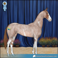 Horse Color:Red Roan Sabino 