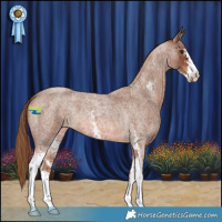 Horse Color:Red Roan Sabino