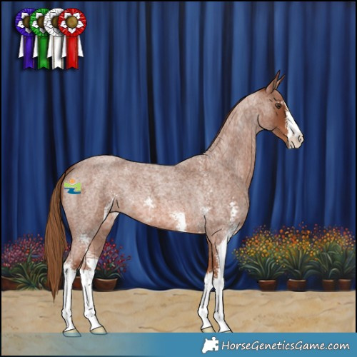 Horse Color:Red Roan Sabino 
