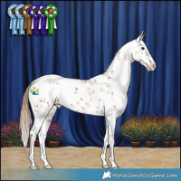 Horse Color:White Spotted Chestnut Sabino