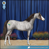 Horse Color:White Spotted Liver Red Roan 