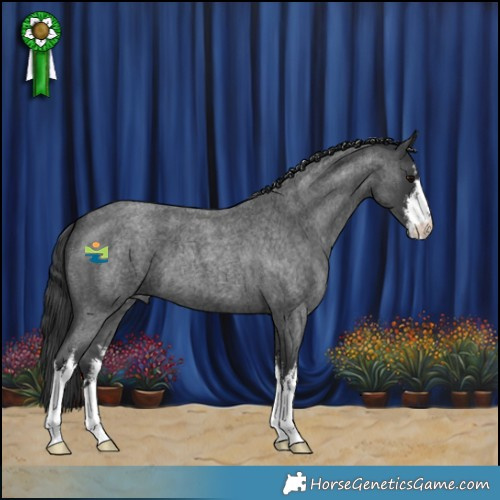 Horse Color:White Spotted Blue Roan 