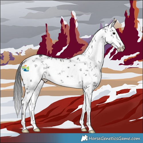 Horse Color:White Spotted Black Sabino 