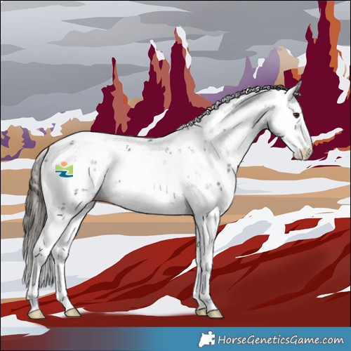 Horse Color:Liver Chestnut Sabino 