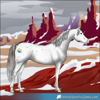 Horse Color:Liver Chestnut Sabino