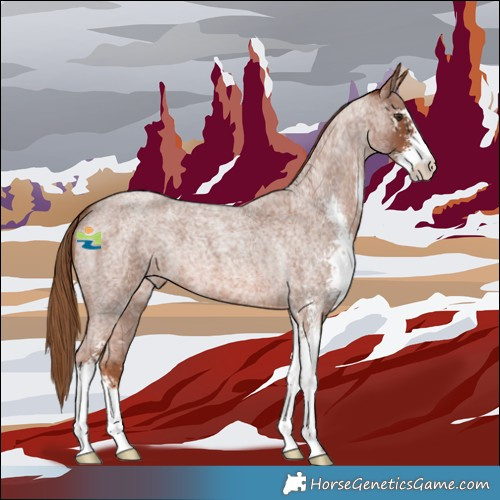 Horse Color:Red Roan Sabino 