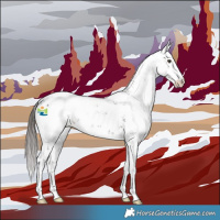 Horse Color:Liver Chestnut Sabino 