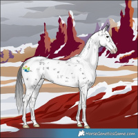 Horse Color:White Spotted Smoky Black Sabino 